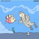 Scuba diver looking at a fish with an oxygen mask